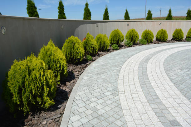 Best Decorative Driveway Pavers  in Thruston, KY